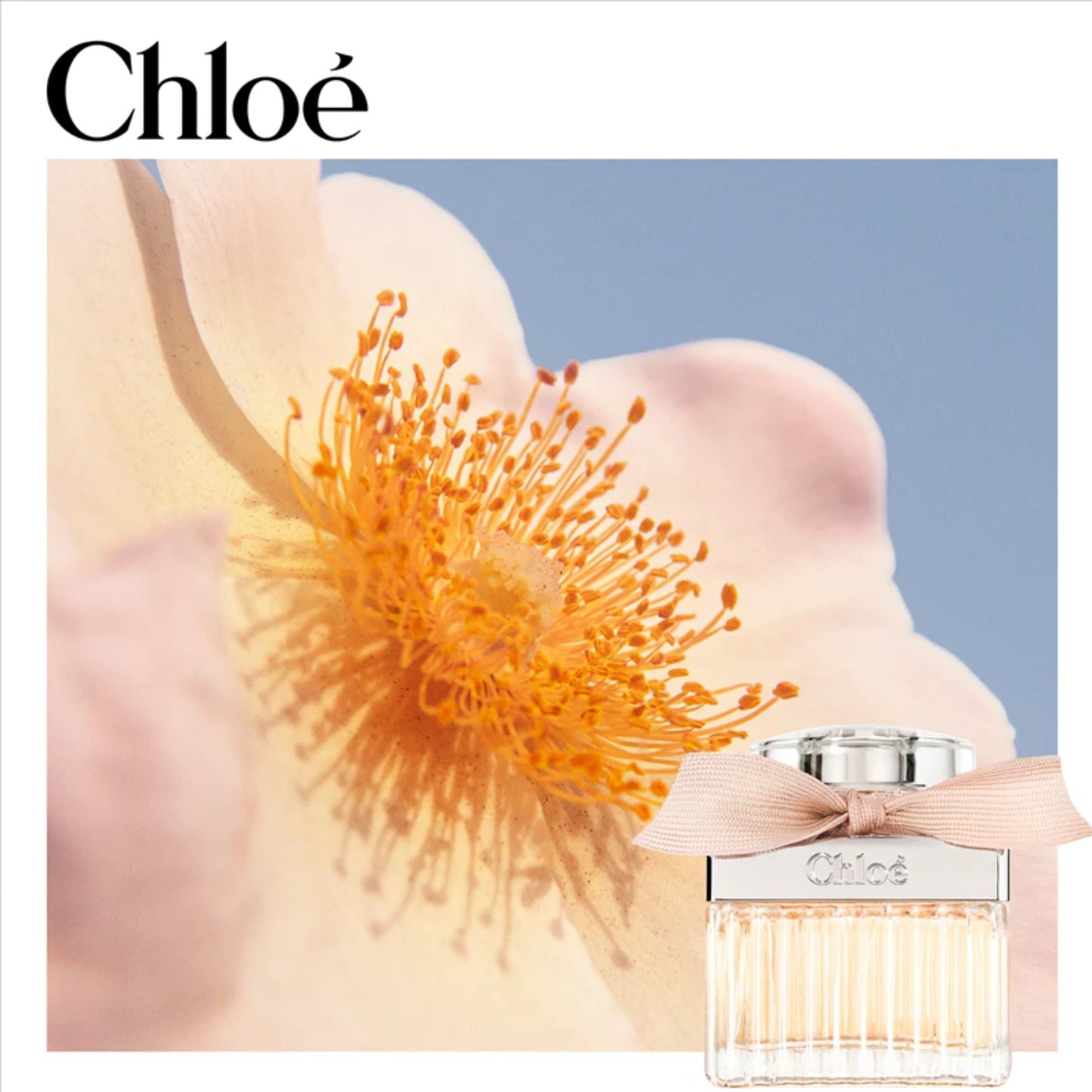 Chloé Eau de Parfum - 100ml